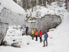 jasper inn & suites Maligne Adventures